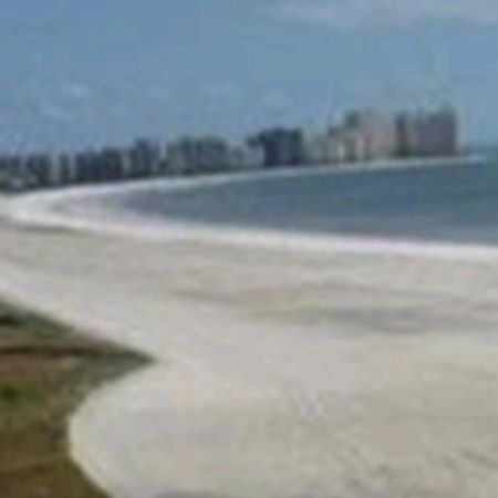 South Seas On The Gulf Aparthotel Марко Айлънд Съоръжения снимка